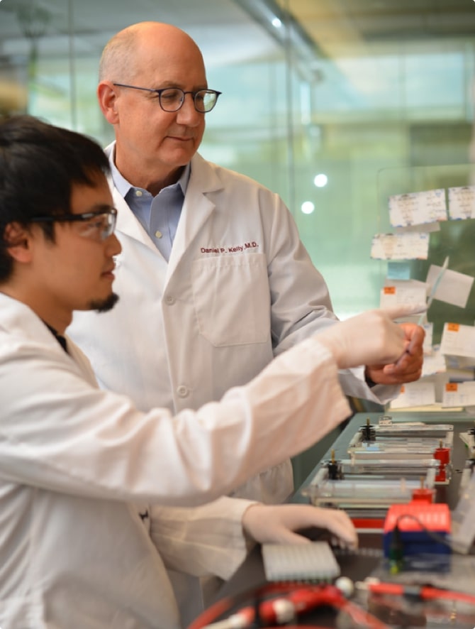 Two scientists in laboratory